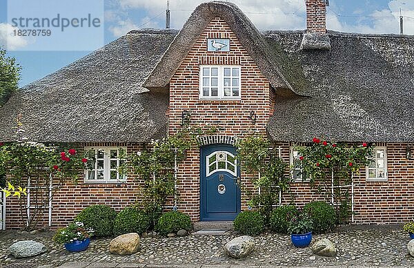 Reetgedecktes Friesenhaus  Hauseingang  Föhr  Nordfriesische Insel  Nordfriesland  Schleswig-Holstein  Deutschland  Europa