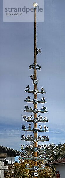 Maibaum  Eggstätt  Chiemgau  Bayern  Deutschland  Europa