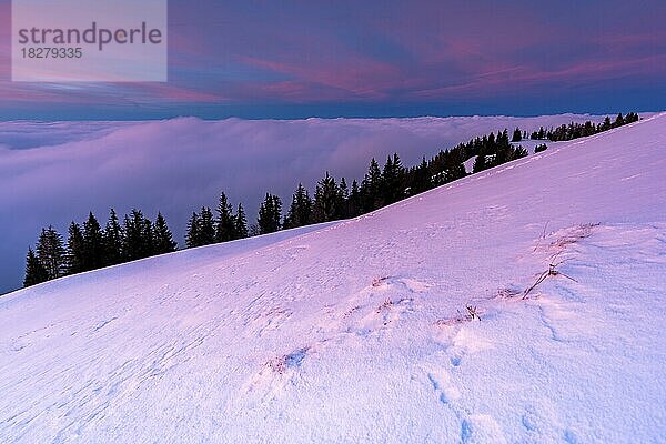Winterlandschaft auf dem Gnipen über dem Nebelmeer im Kanton Schwyz  Schweiz  Europa