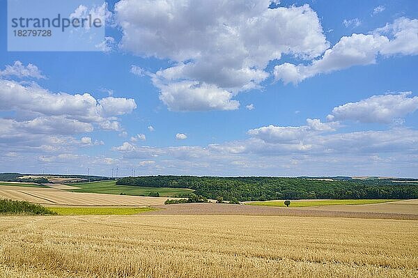 Feldlandschaft mit abgeernteten Getreidefeldern im Sommer  Arnstein  Franken  Bayern  Deutschland  Europa