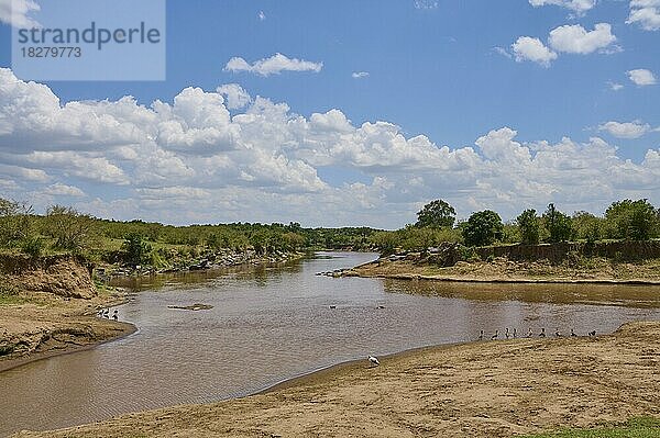 Savannenlandschaft mit Fluss  Mara River  Maasai Mara National Reserve  Kenia  Afrika