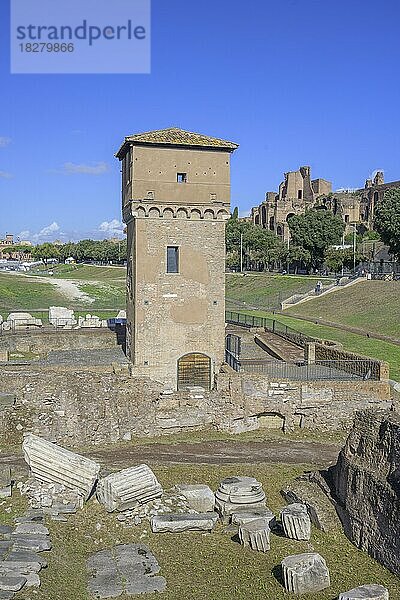 Blick auf den Circus Maximus mit Torre di Moletta  Rom  Italien  Europa