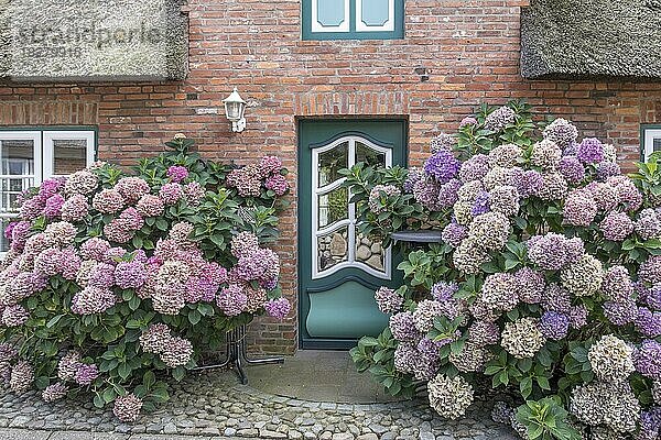 Reetgedecktes Friesenhaus  Hauseingang  Föhr  Nordfriesische Insel  Nordfriesland  Schleswig-Holstein  Deutschland  Europa