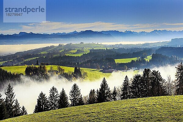 Blick vom Blender bei Kempten  Alpenpanorama mit Nebelbank  in der Mitte der Grünten mit Sender  links daneben der Hochvogel  Allgäu  Schwaben  Bayern  Deutschland  Europa