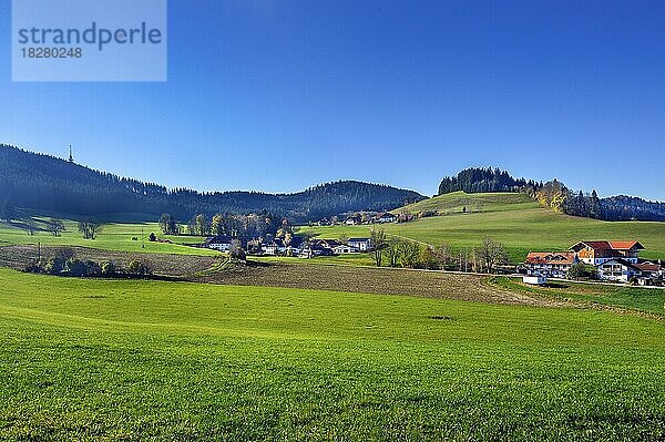 Wälder  Äcker und Wiesen am Blender bei Kempten  Allgäu  Schwaben  Bayern  Deutschland  Europa