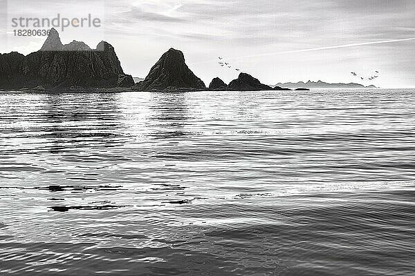 Felsenküste  Küstenlinie  Bleik  Gegenlicht  Schwarzweißfoto  Andøya  Vesterålen  Nordnorwegen  Norwegen  Europa