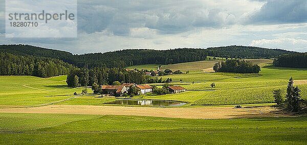 Mehrere Bauernhöfe und ein Teich  umgeben von Feldern  ein Bauer fährt mit dem Traktor über das Feld  Sommer  bewölkter Himmel mit Sonnenschein  Panoramaformat  Oberpfalz  Bayern  Deutschland  Europa