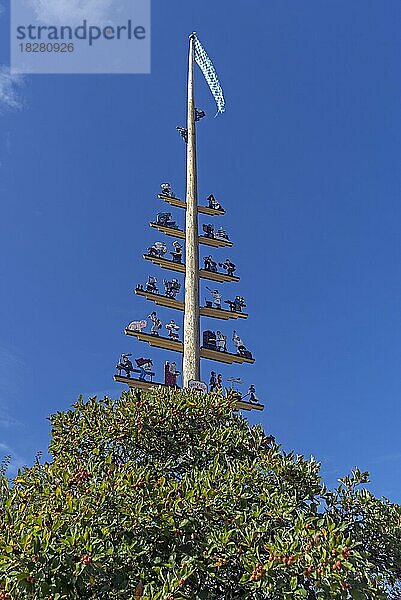 Maibaum in Seebruck am Chiemsee  Bayern  Deutschland  Europa