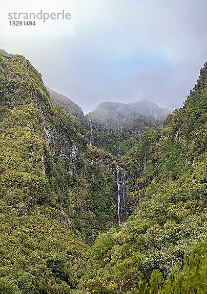 Wasserfall Cascata do Risco zwischen dicht bewaldeten Bergen  Rabacal  Paul da Serra  Madeira  Portugal  Europa