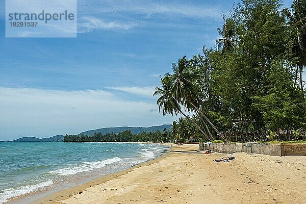 Lipa Noi Beach  Insel Ko Samui  Thailand  Asien