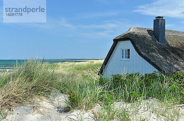 Haus mit Reetdach in Ahrenshoop an der Ostsee  Mecklenburg-Vorpommern  Deutschland  Europa