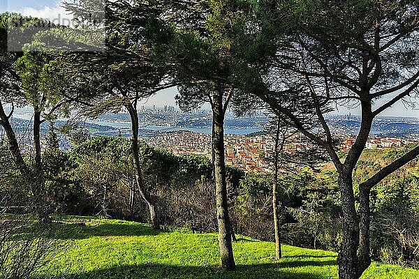 Kiefern auf einem Hügel mit Blick auf die Stadt am Bosporus  Park Büyük Çamlica  Istanbul  Türkei  Asien