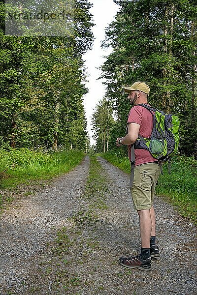 Mann beim Wandern im Wald  Schwarzwald  Bad Wildbad  Deutschland  Europa