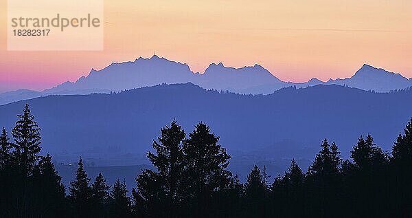 Aussicht auf Säntis und Alpstein in der Morgendämmerung  Gottschalkenberg  Kanton Zug  Schweiz  Europa