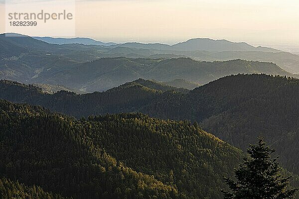 Blick vom Schliffkopf über Wald und Berge  Nationalpark Schwarzwald  Nordschwarzwald  Schwarzwald  Baden-Württemberg  Deutschland  Europa