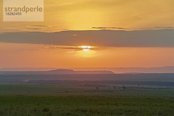 Savannenlandschaft bei Sonnenuntergang  Masai Mara National Reserve  Kenia  Afrika