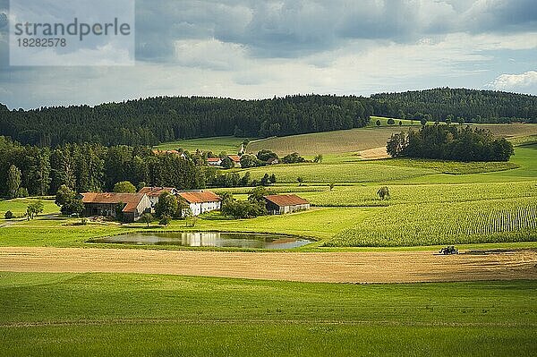 Mehrere Bauernhöfe und ein Teich  umgeben von Feldern  ein Bauer fährt mit dem Traktor über das Feld  Sommer  bewölkter Himmel mit Sonnenschein  Oberpfalz  Bayern  Deutschland  Europa