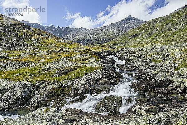 Gebirgsbach im Gradental  Nationalpark Hohe Tauern  Kärnten  Österreich  Europa