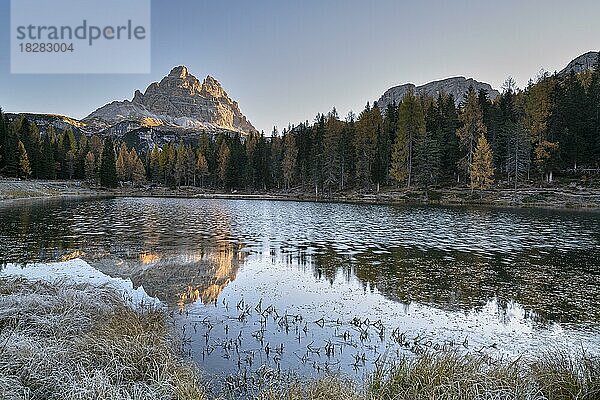 Frostiger Lago Antorno mit Drei Zinnen im Herbst  schönes Wetter  Dolomiten  Misurina  Belluno  Italien  Europa