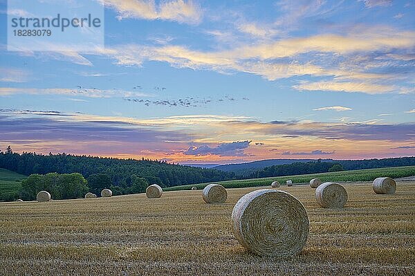 Landschaft mit Heuwiese und Strohballen bei Sonnenuntergang  Großheubach  Miltenberg  Spessart  Franken  Bayern  Deutschland  Europa