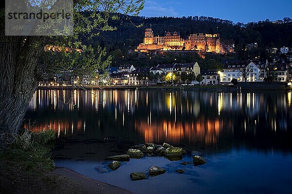 Blick auf Heidelberg und das Schloss und den Fluss Neckar am Abend zur blauen Stunde  das Schloss ist beleuchtet  Rhein-Neckar-Kreis  Baden-Württemberg  Deutschland  Europa