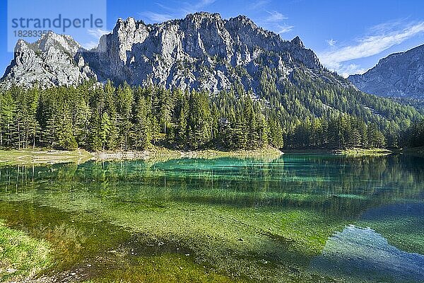 Grüner See an einem sonnigen Tag  Spiegelung des Berges  Tragöss  Steiermark