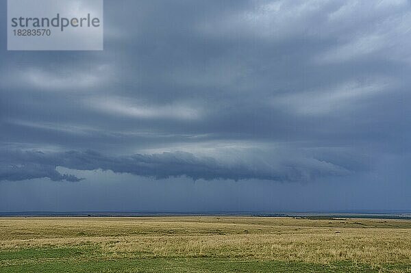 Savannenlandschaft mit Gewitter Wolken  Masai Mara National Reserve  Kenia  Afrika