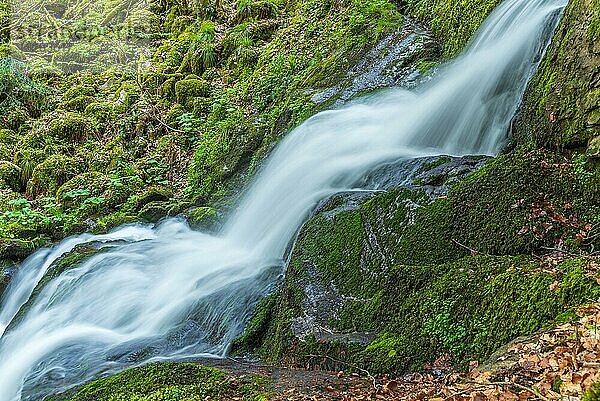 Frische und schöne Wasserfälle in einem Bergbach im Frühling. La Serva  Champ du feu  Vogesen  Elsass  Frankreich  Europa