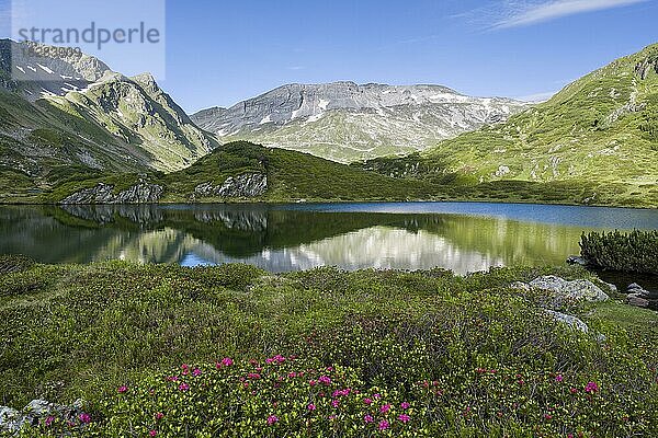 Giglachsee mit Almrausch  Berglandschaft  Schladminger Tauern  Schladming  Steiermark