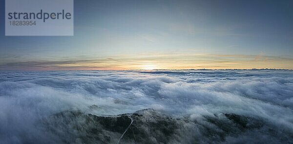 Luftbild vom Hegaublick vor Sonnenaufgang  umgeben von Nebelschwaden  während einer Inversionswetterlage  Hegau  Landkreis Konstanz  Baden-Württemberg  Deutschland  Europa