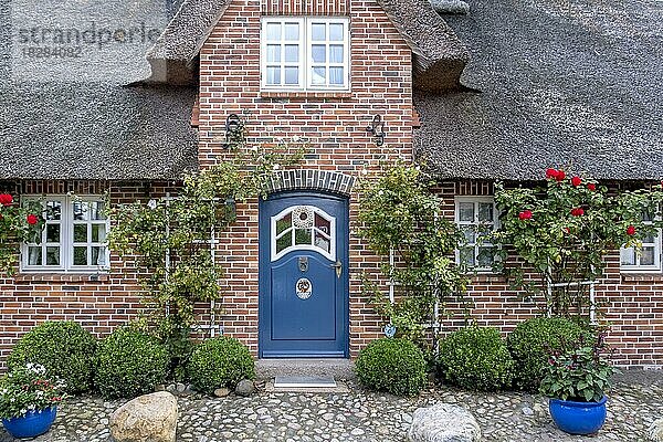 Reetgedecktes Friesenhaus  Hauseingang  Föhr  Nordfriesische Insel  Nordfriesland  Schleswig-Holstein  Deutschland  Europa