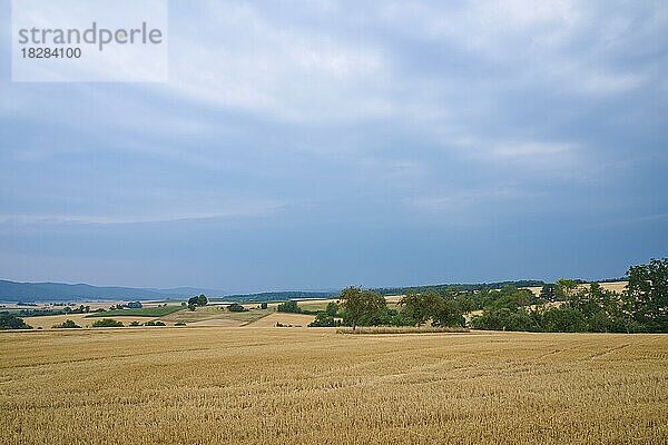 Landschaft bei Sturm im Sommer  Schmachtenberg  Miltenberg  Spessart  Franken  Bayern  Deutschland  Europa