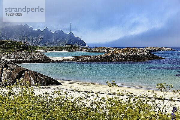 Küstenlinie mit Naturstrand im Sommer  Andenes  Insel Andøya  Vesterålen  Nordnorwegen  Norwegen  Europa