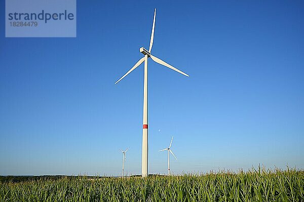 Windräder im Kornfeld am Morgen  Sommer  Würzburg  Franken  Bayern  Deutschland  Europa