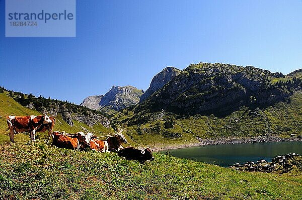 Formarinsee  Dalaas  Lechquellengebirge  Vorarlberg  Österreich  Europa