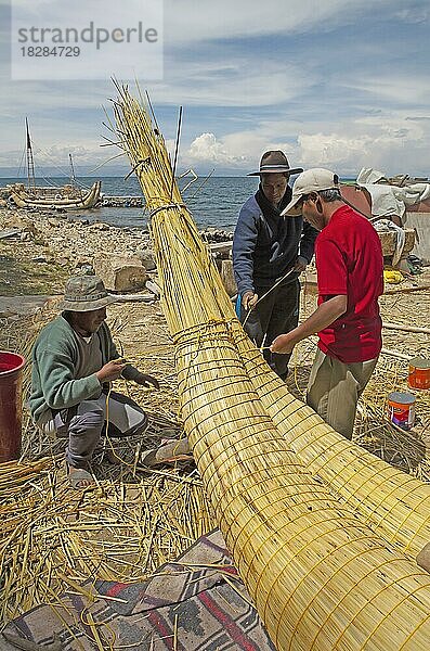 Männer binden ein traditionelles Reetboot mit Tortora-Schilf  Isla del Sol im Titicacasee  Bolivien  Südamerika