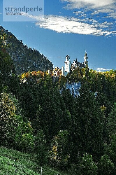 Schloss Neuschwanstein in Schwangau bei Füssen  Schwaben  Bayern  Deutschland  Europa