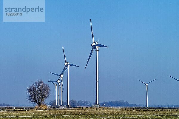 Windkraftwerke bei Seefeld  Landkreis Wesermarsch  Deutschland  Europa