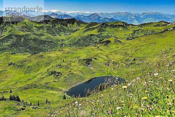 Blick auf den Sünser See in den Damülser Bergen im Bregenzerwald  im Hintergrund die Schweizer Alpen  Vorarlberg  Österreich  Europa