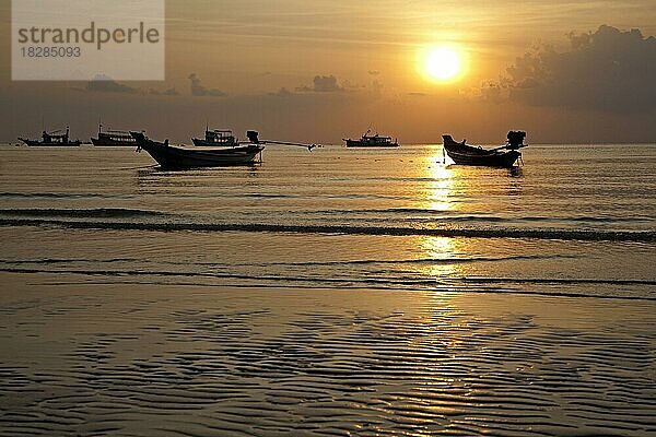 Thailändische Fischerboote als Silhouette im Sonnenuntergang  Insel Ko Tao  Koh Tao  Teil des Chumphon Archipels in Südthailand