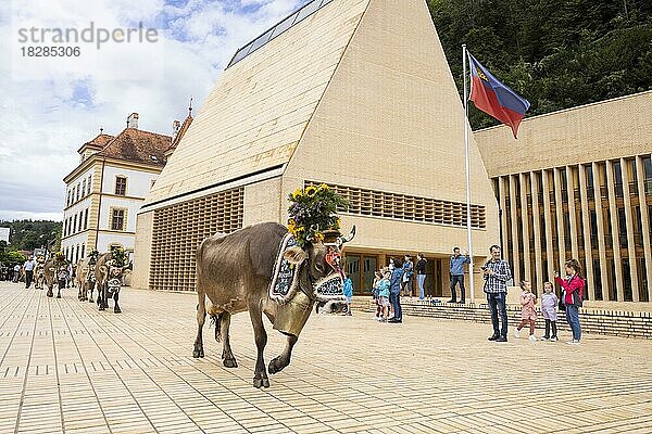 Alpabfahrt-Pradamee durch das Städtle  Vaduz  Liechtenstein  Europa