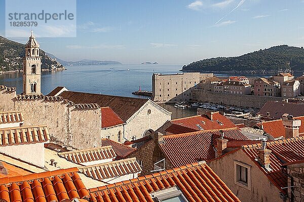 Altstadt von Dubrovnik  Hafen  Dächer  Kroatien  Europa