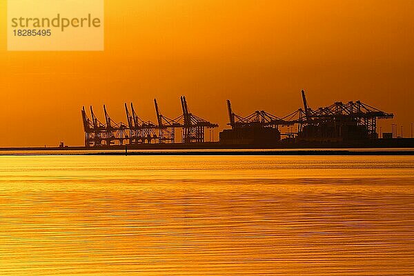 Portalkräne am Containerterminal im Seehafen von Le Havre  Silhouette im Sonnenuntergang  Seine-Maritime  Frankreich  Europa