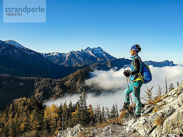 Bergsteigerin über Waldgrenze und Wolken genießt die Sonne  hinten Schafberg und Drachenwand  Salzkammergut  Oberösterreich  Österreich  Europa