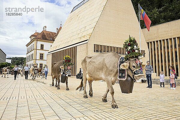 Alpabfahrt-Pradamee durch das Städtle  Vaduz  Liechtenstein  Europa