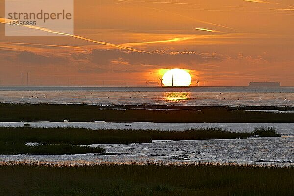 Wattenmeer bei Spieka Neufeld  Landkreis Cuxhaven  Deutschland  Europa