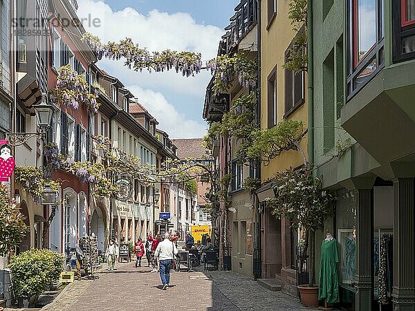 Die rankblumenreiche Konviktstraße ist eine alte Handwerkerstraße in der Altstadt  Freiburg im Breisgau  Baden-Württemberg  Deutschland  Europa