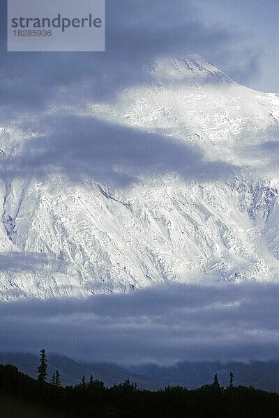 Schneebedeckter Berghang des Mount McKinley mit silhouettierten Bäumen  Denali National Park  Alaska  USA  Nordamerika