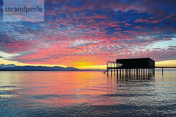 Badehaus  Bodensee  bei Lochau  Vorarlberg  Österreich  Europa