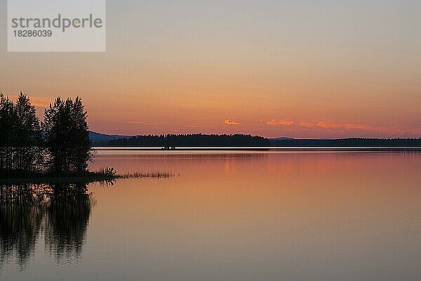 Silhouettierte Bäume am Siljansee im Sommer bei Sonnenuntergang  Dalarna  Schweden  Europa